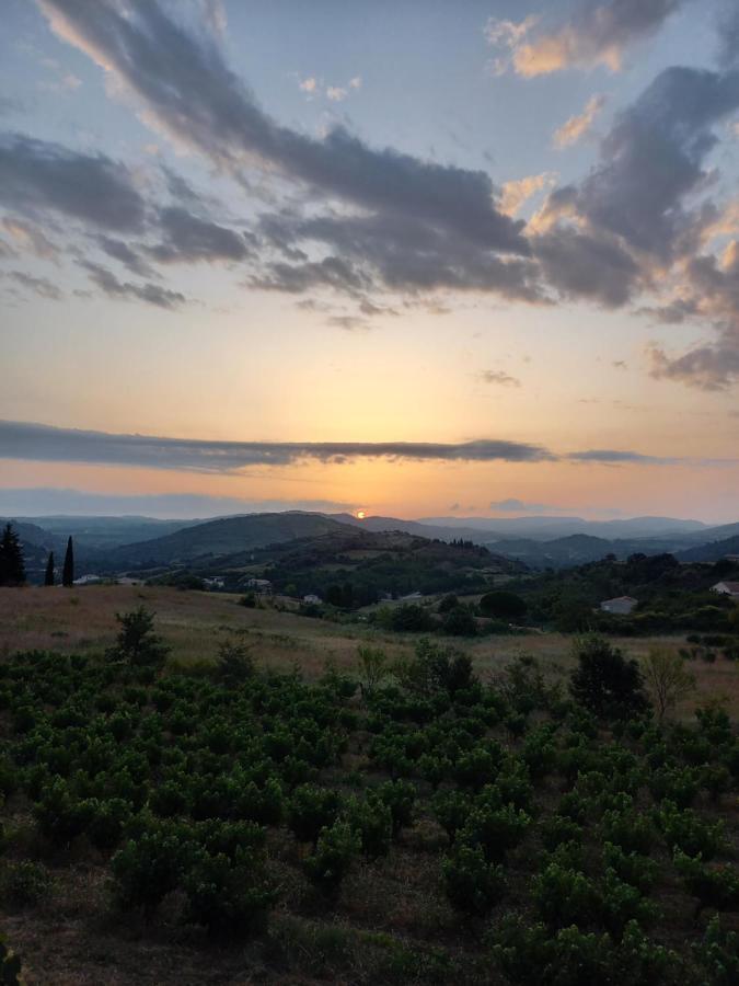Gite Vigneron Du Domaine D'Alon Magrie Екстер'єр фото