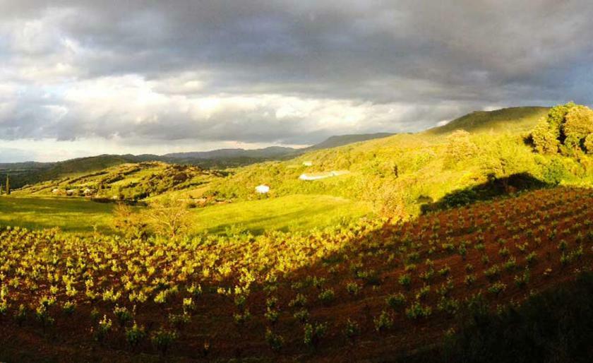 Gite Vigneron Du Domaine D'Alon Magrie Екстер'єр фото