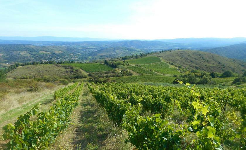 Gite Vigneron Du Domaine D'Alon Magrie Екстер'єр фото