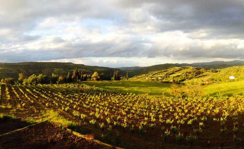 Gite Vigneron Du Domaine D'Alon Magrie Екстер'єр фото