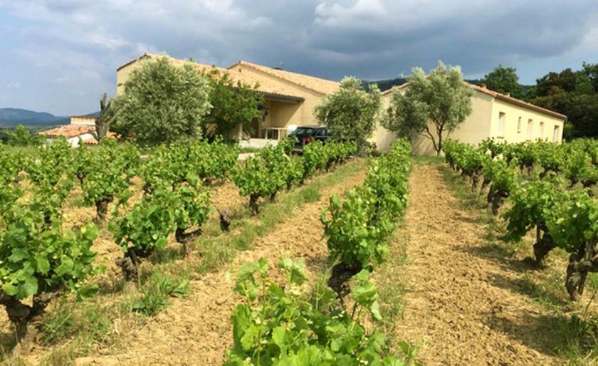 Gite Vigneron Du Domaine D'Alon Magrie Екстер'єр фото