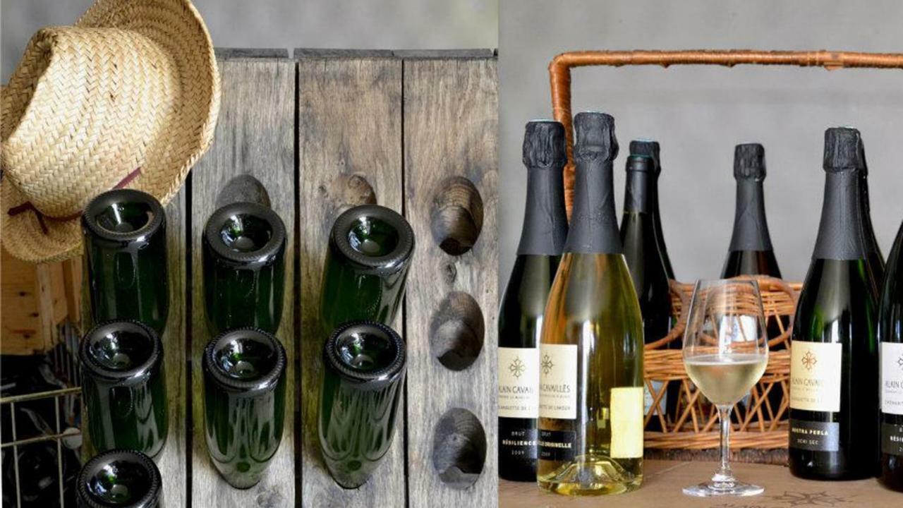 Gite Vigneron Du Domaine D'Alon Magrie Екстер'єр фото