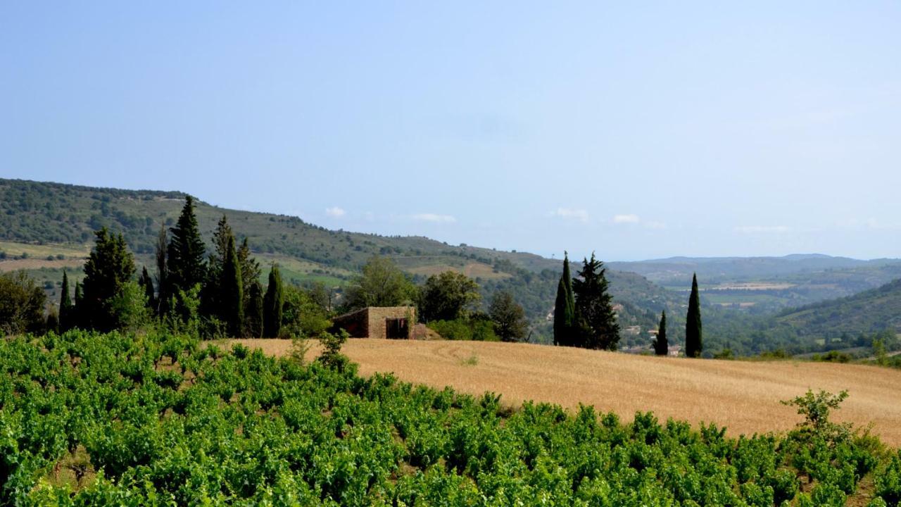 Gite Vigneron Du Domaine D'Alon Magrie Екстер'єр фото
