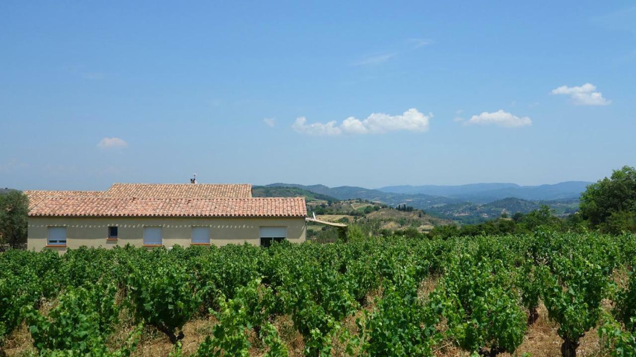 Gite Vigneron Du Domaine D'Alon Magrie Екстер'єр фото