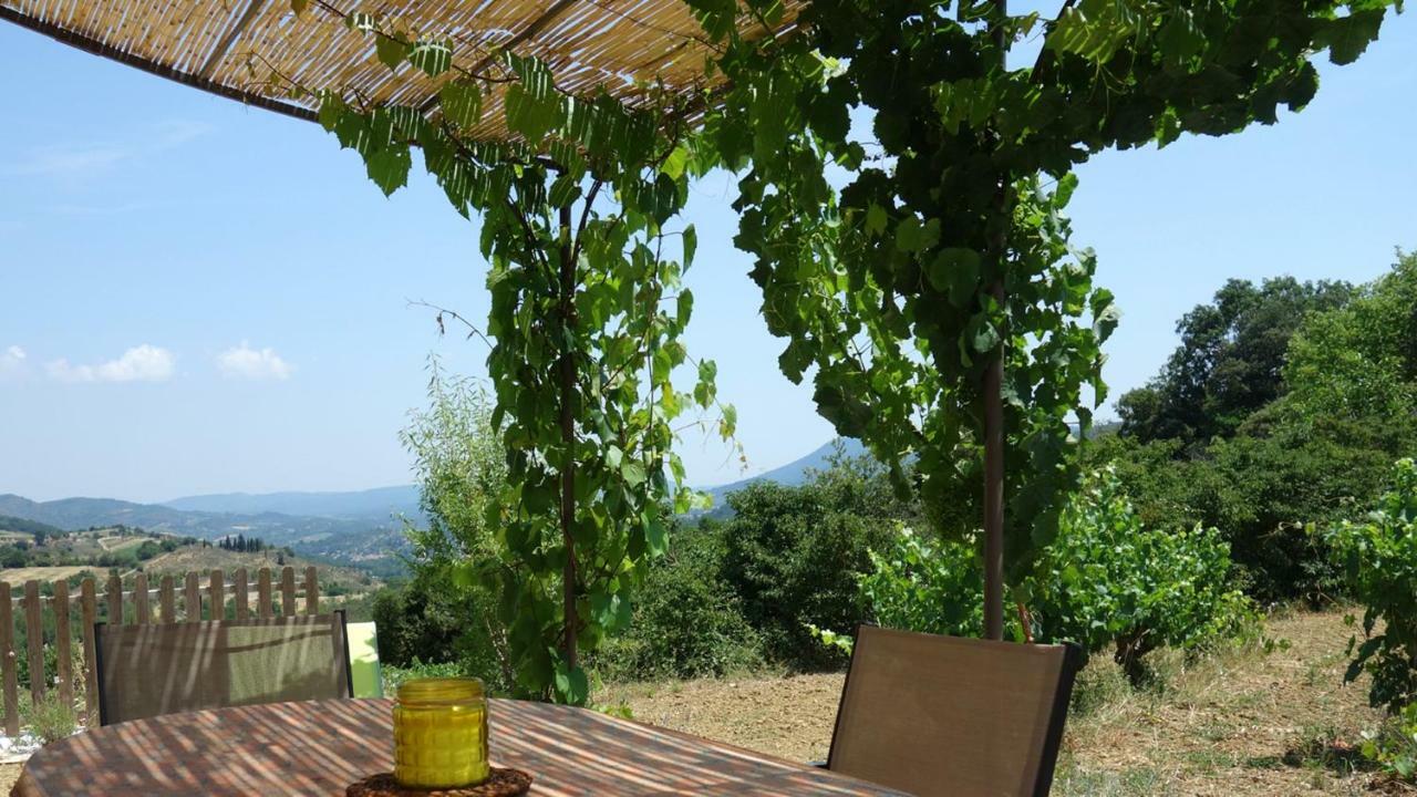 Gite Vigneron Du Domaine D'Alon Magrie Екстер'єр фото